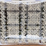 Medium Clear Bag - Sweet Sweet Honey Hawaii